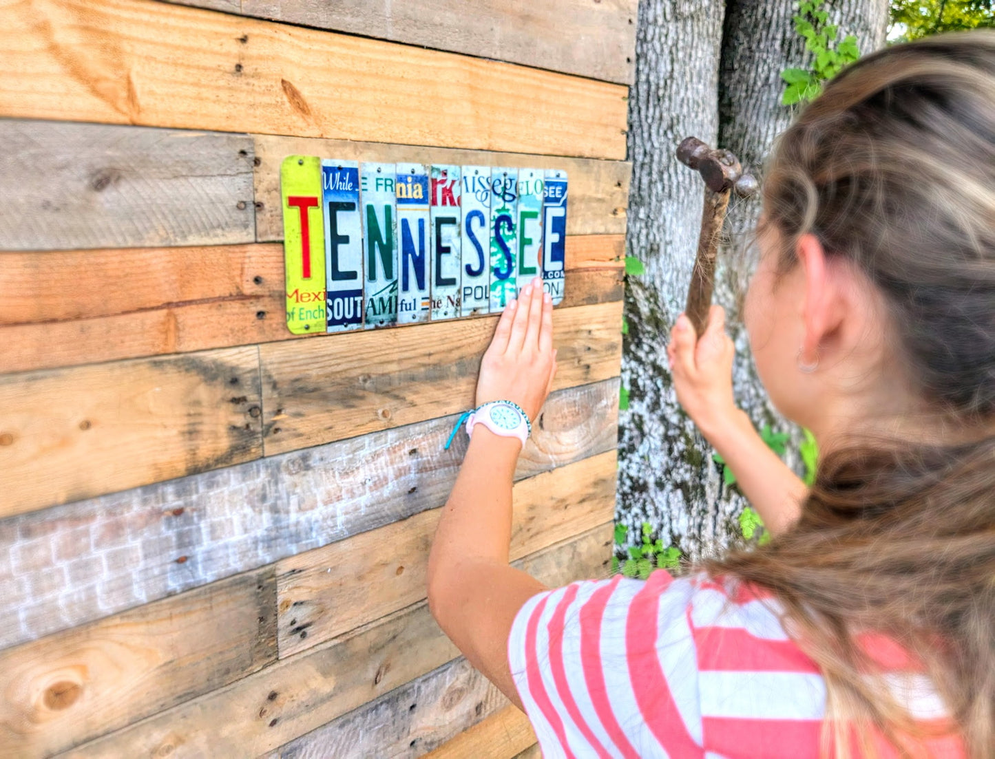 Personalized Cut License Plate Strips Signs
