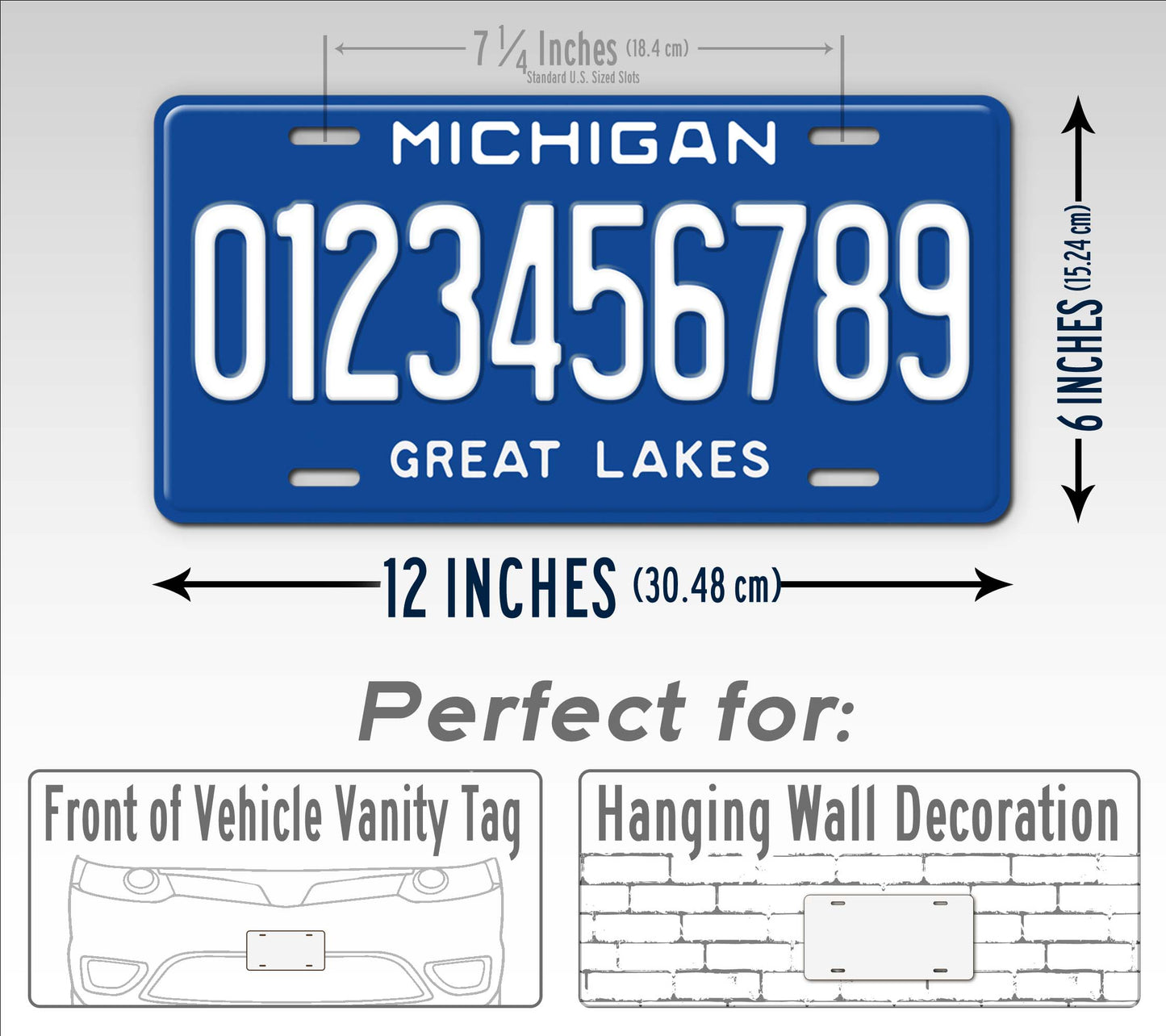 Michigan Retro Blue Great Lakes State License Plate