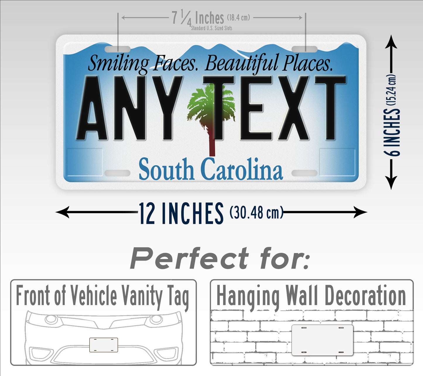 Custom South Carolina Smiling Faces Beautiful Places License Plate
