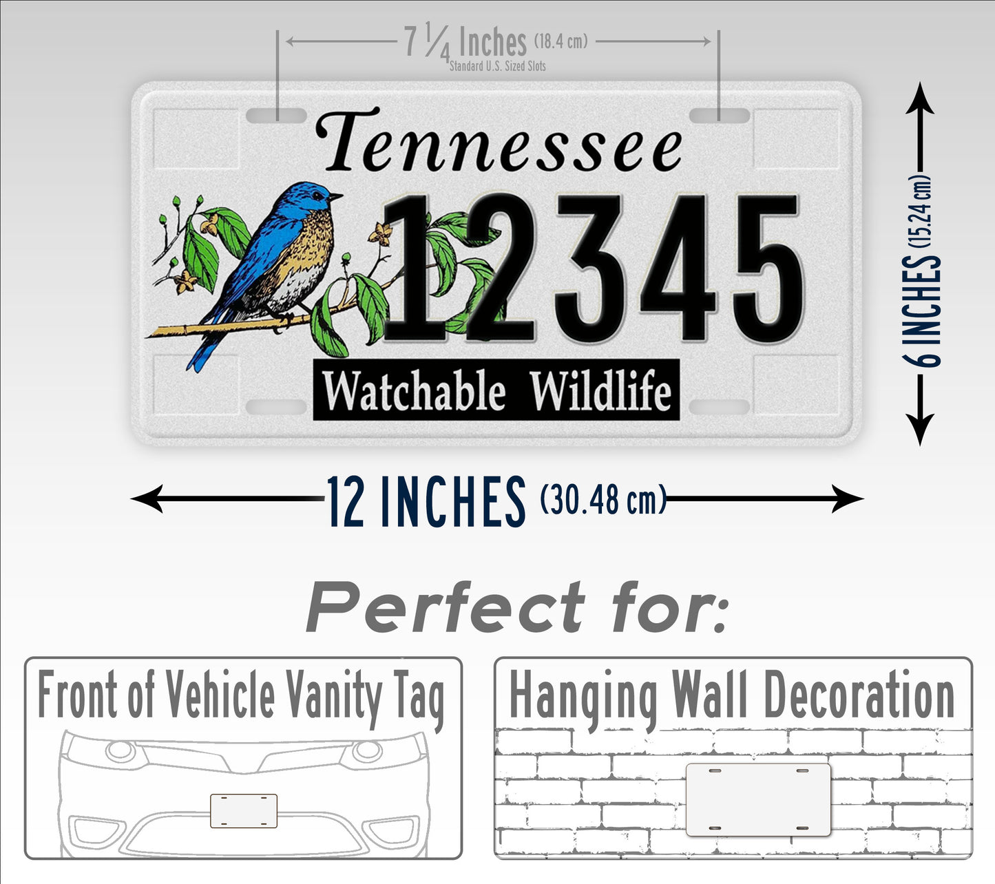 Custom Tennessee Eastern Bluebird "Watchable Wildlife" License Plate