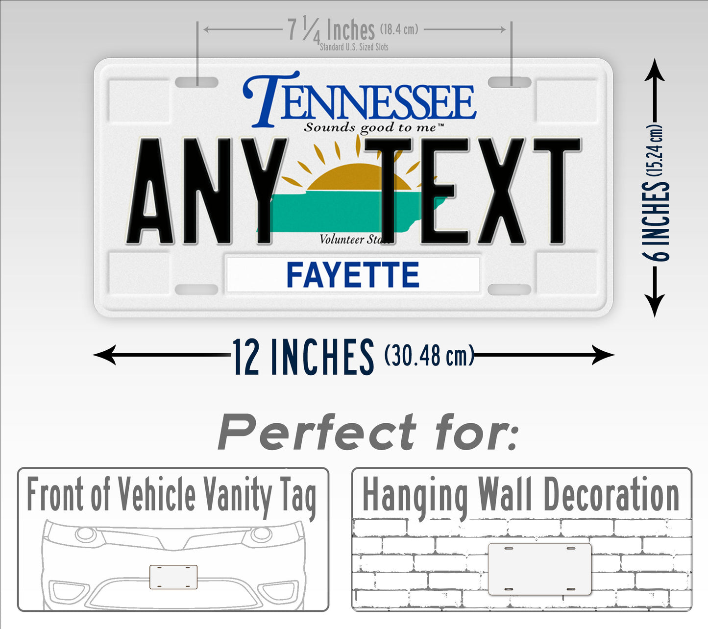 Custom Tennessee 2000-2005 License Plate