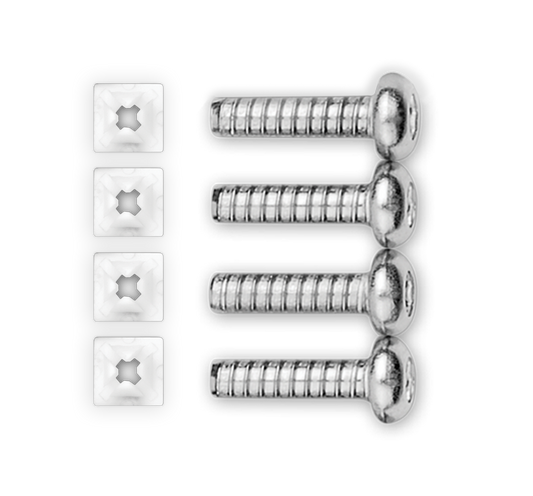 License Plate Mounting Screws