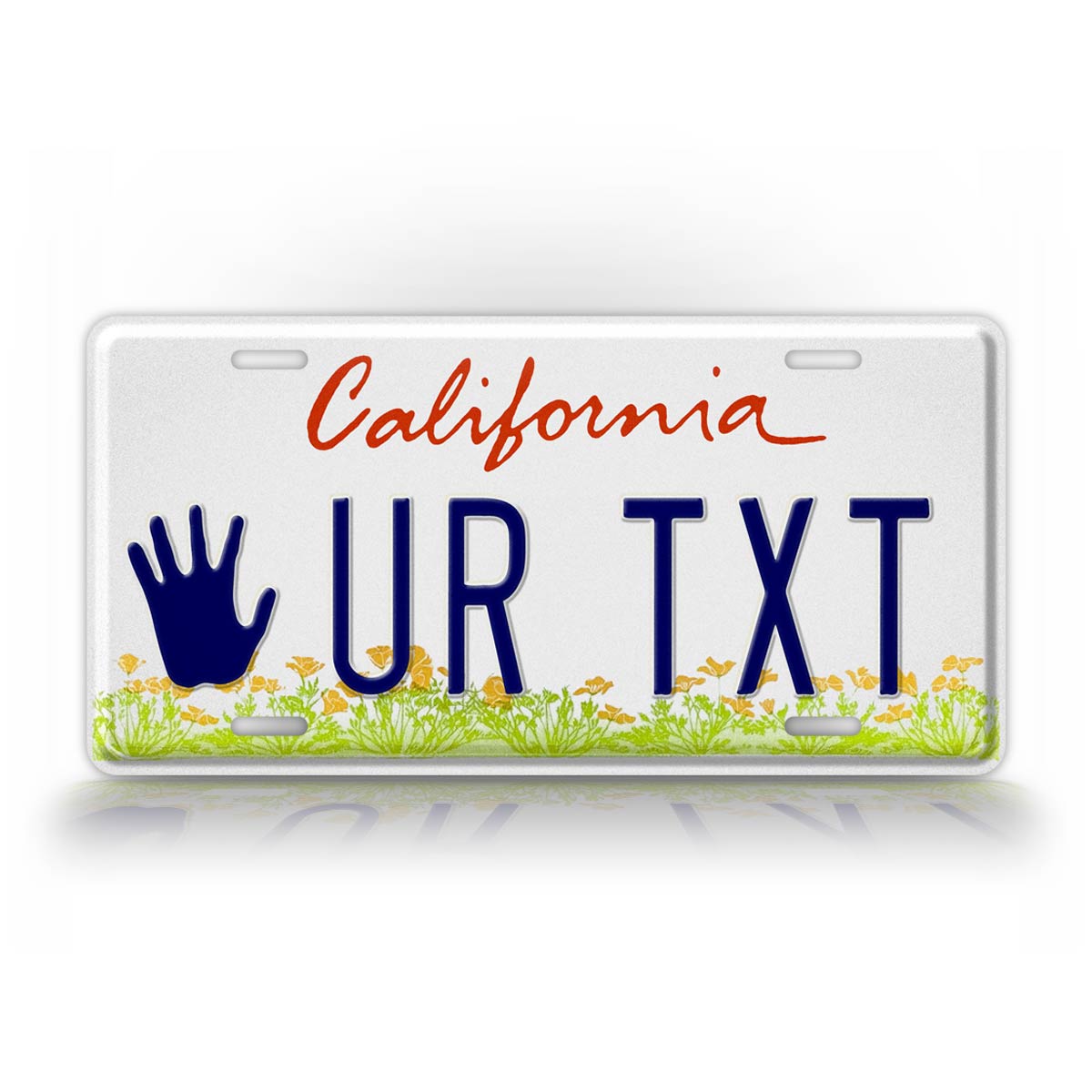 Custom California Trust Fund License Plate