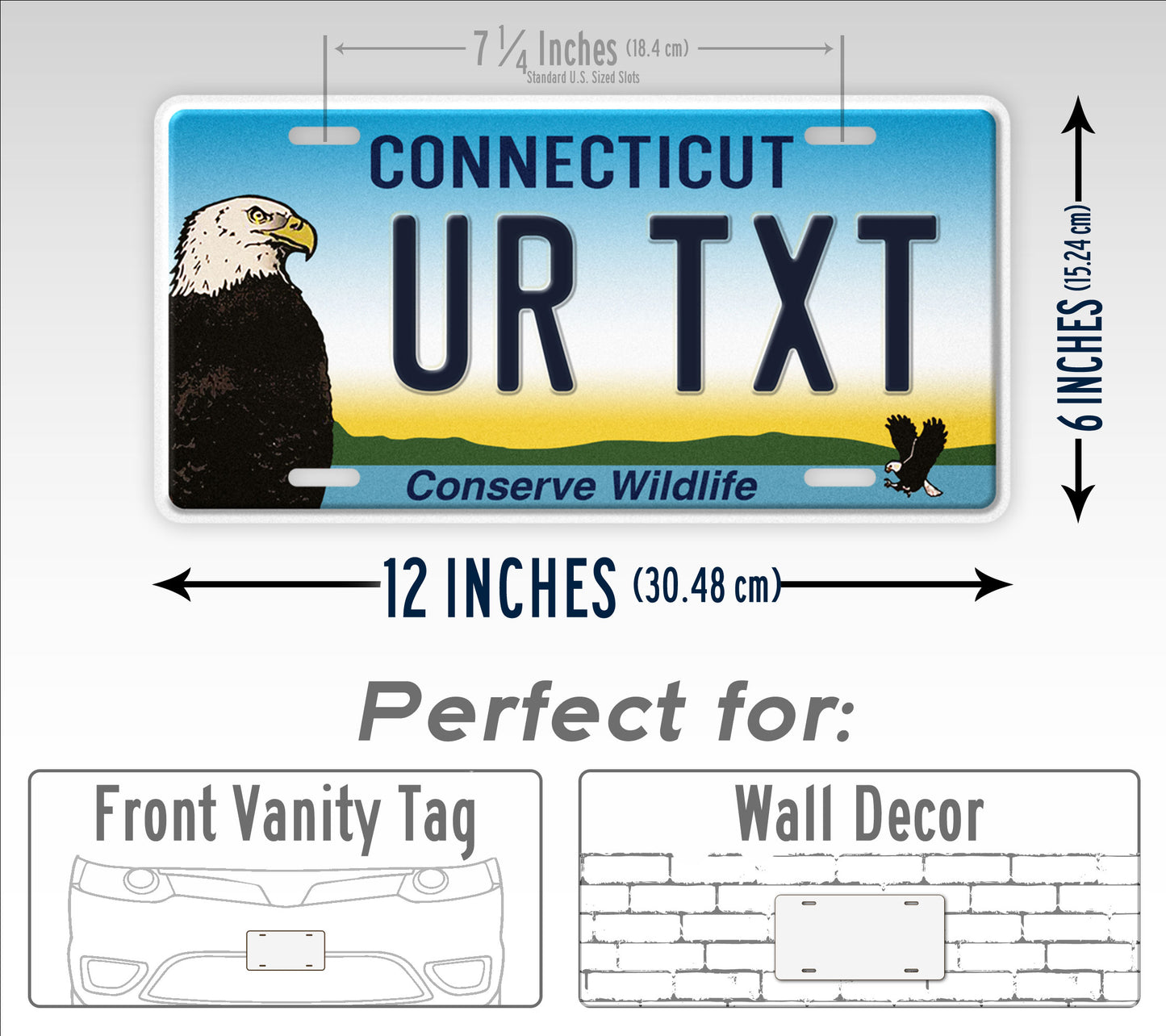 Custom Connecticut Conserve Wildlife Bald Eagle License Plate