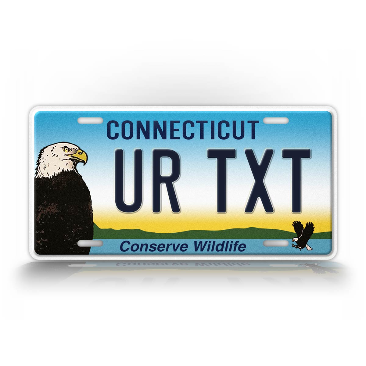Custom Connecticut Conserve Wildlife Bald Eagle License Plate