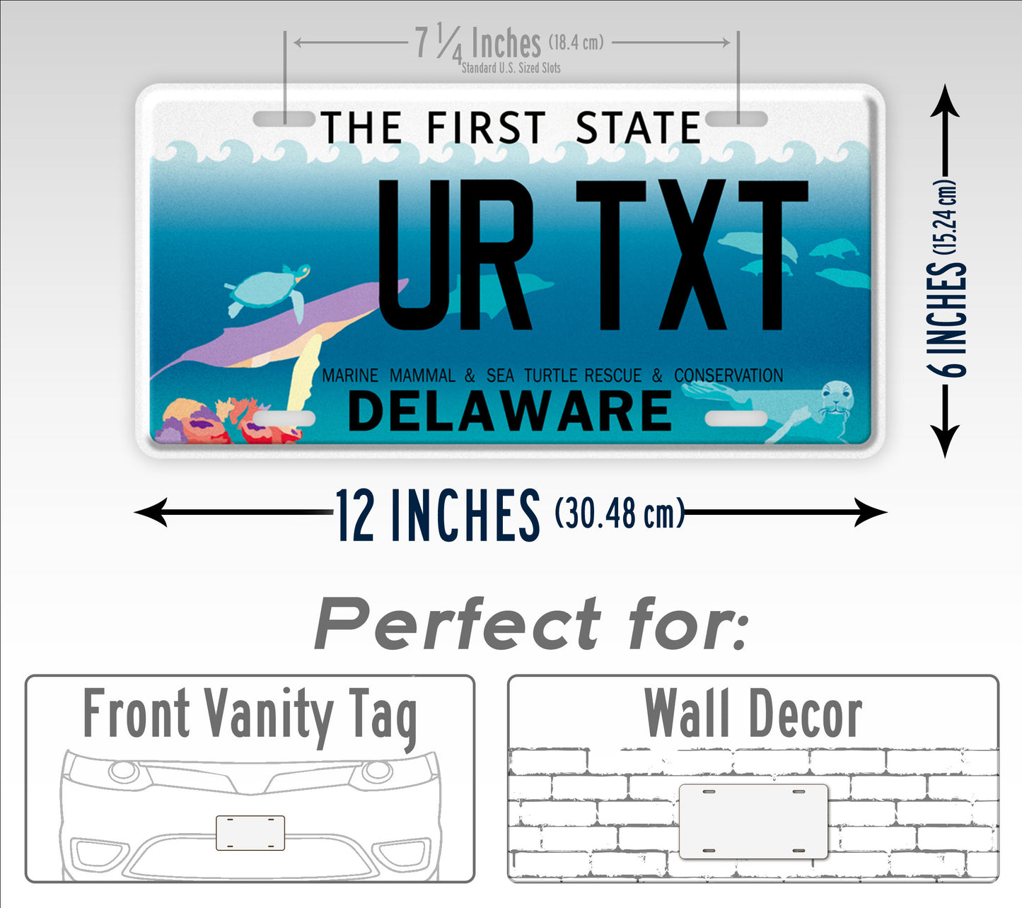 Custom Delaware Marine Mammal And Sea Turtle Conservation License Plate