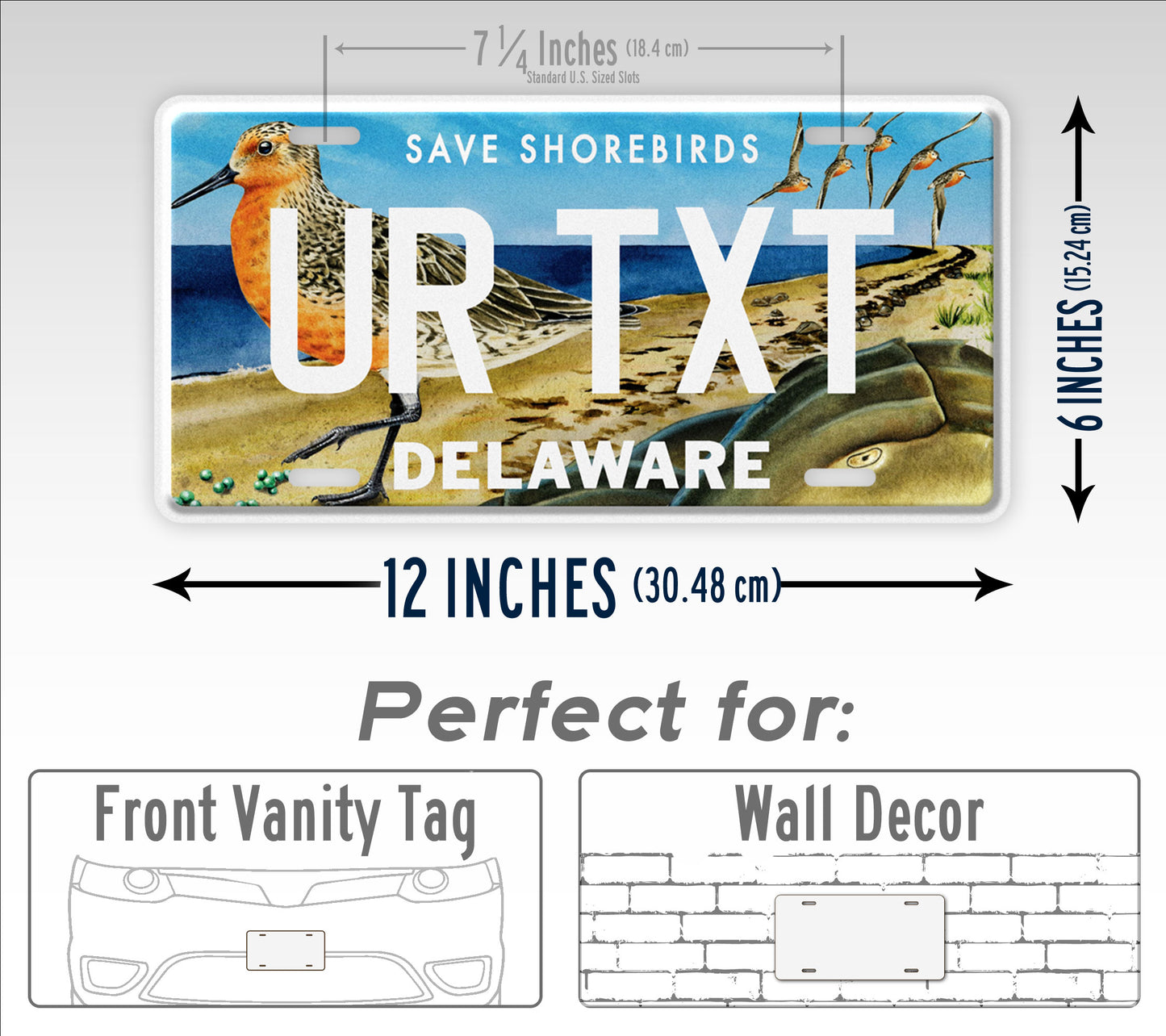 Custom Delaware Save Shorebirds Wildlife License Plate