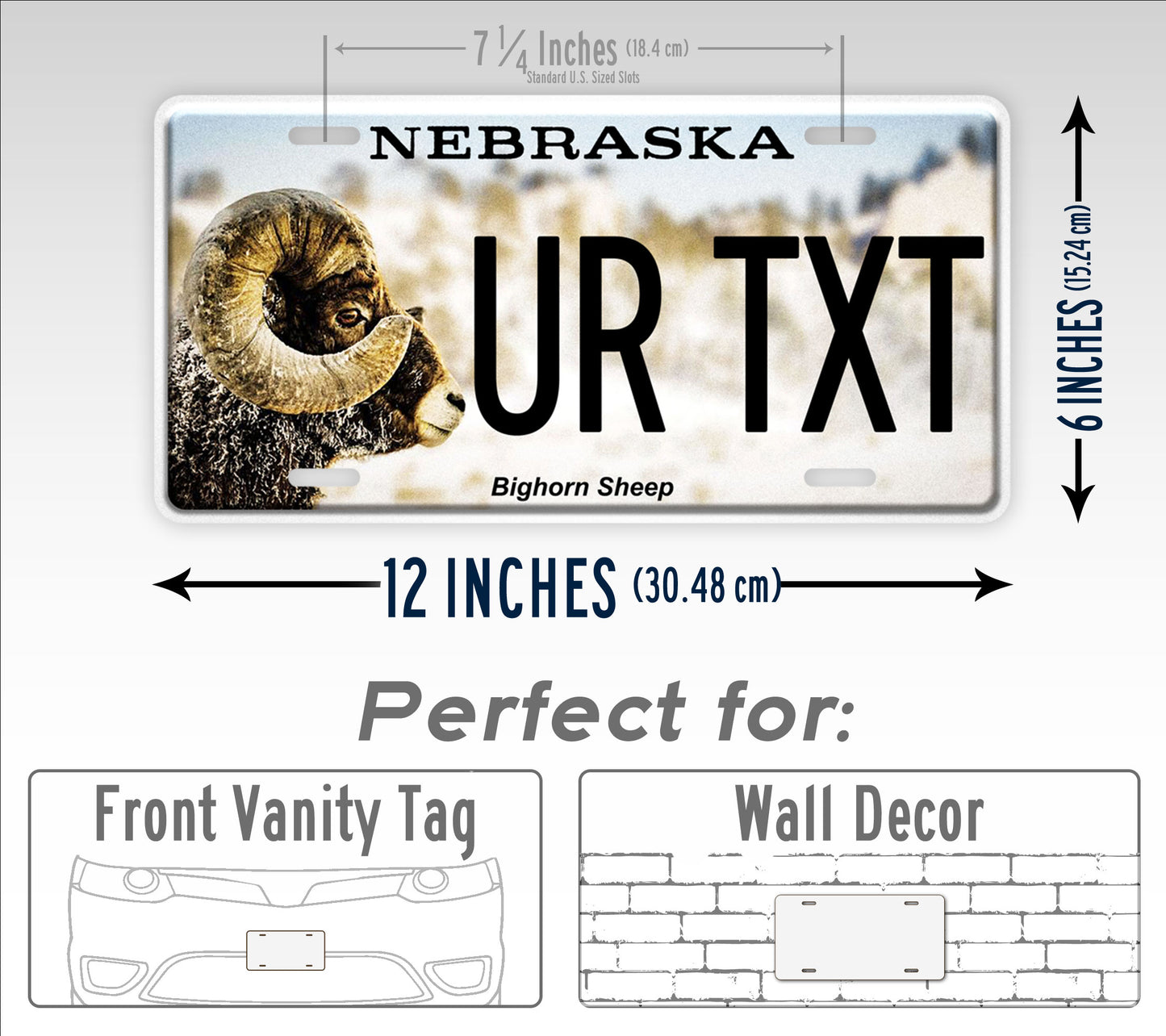 Custom Nebraska Bighorn Sheep License Plate