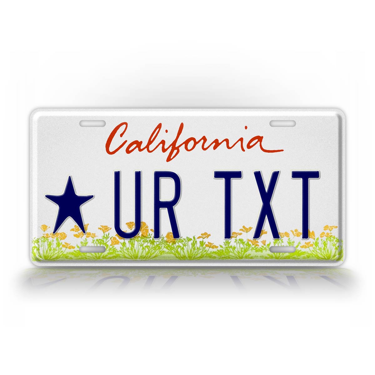 Custom California Trust Fund License Plate