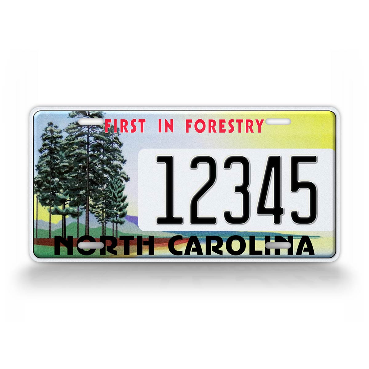 Custom North Carolina First in Forestry 2001 License Plate