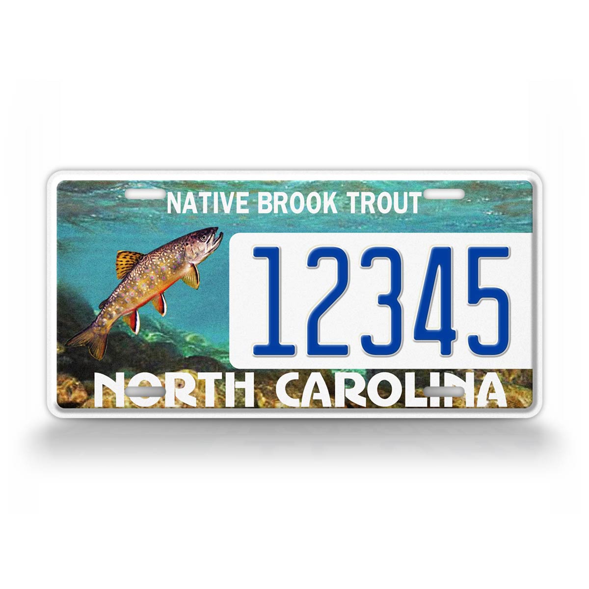 Custom North Carolina Native Brook Trout 2015 License Plate