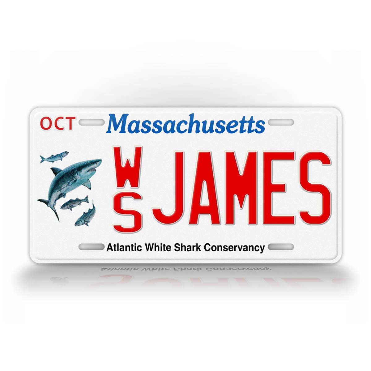 Massachusetts Atlantic White Shark Conservancy Safety Reminders for Beachgoers