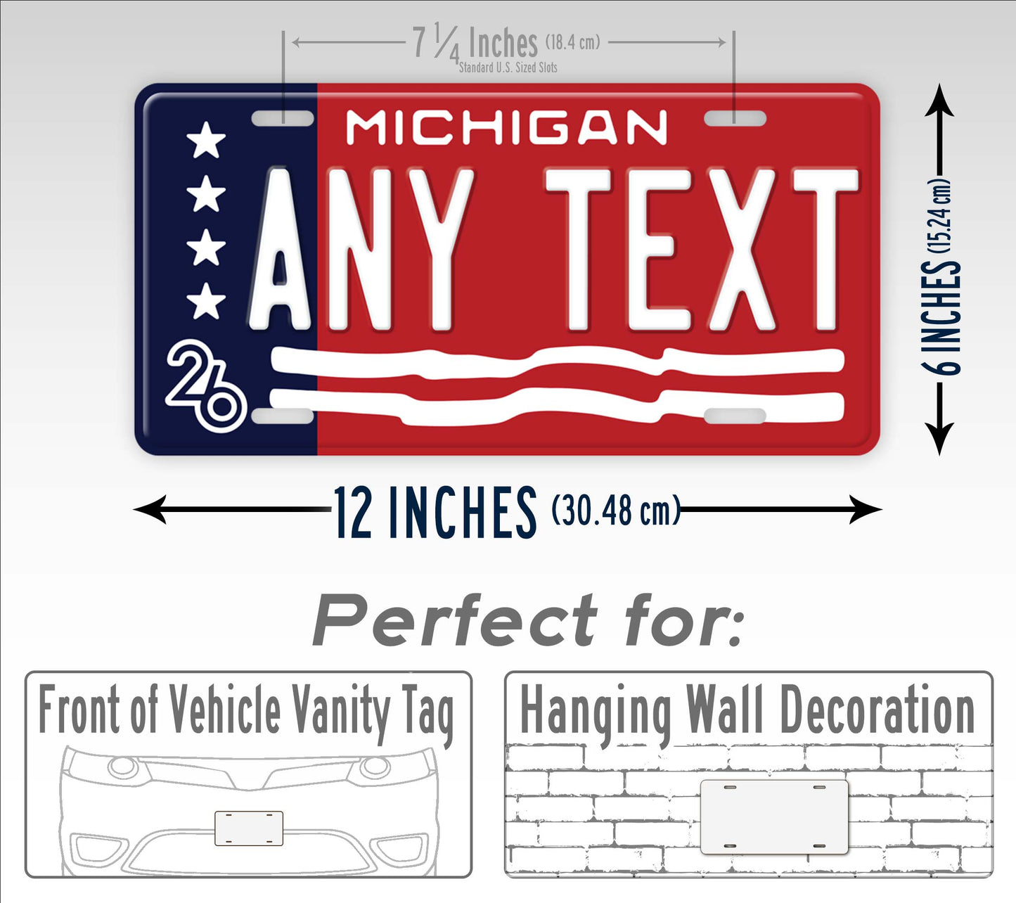 Personalized Michigan 2026 Anniversary License Plate