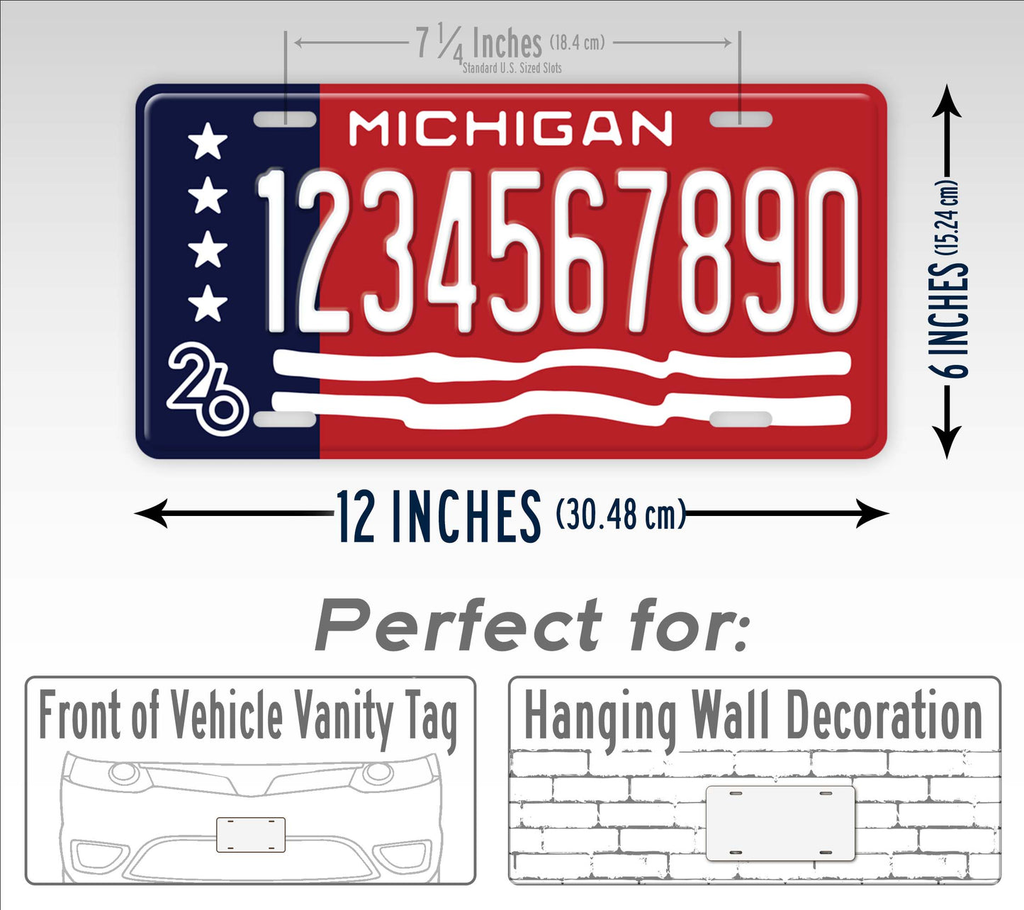 Personalized Michigan 2026 Anniversary License Plate
