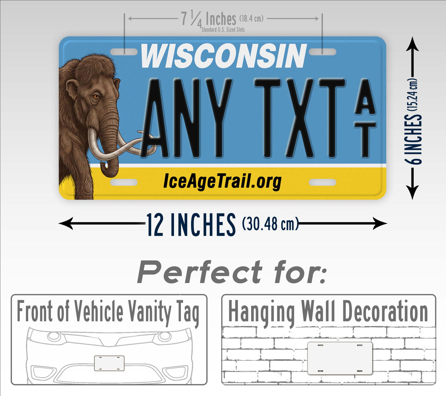 Wisconsin Ice Age Trail Custom License Plate
