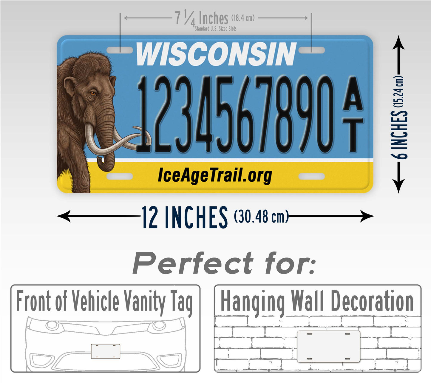 Wisconsin Ice Age Trail Custom License Plate