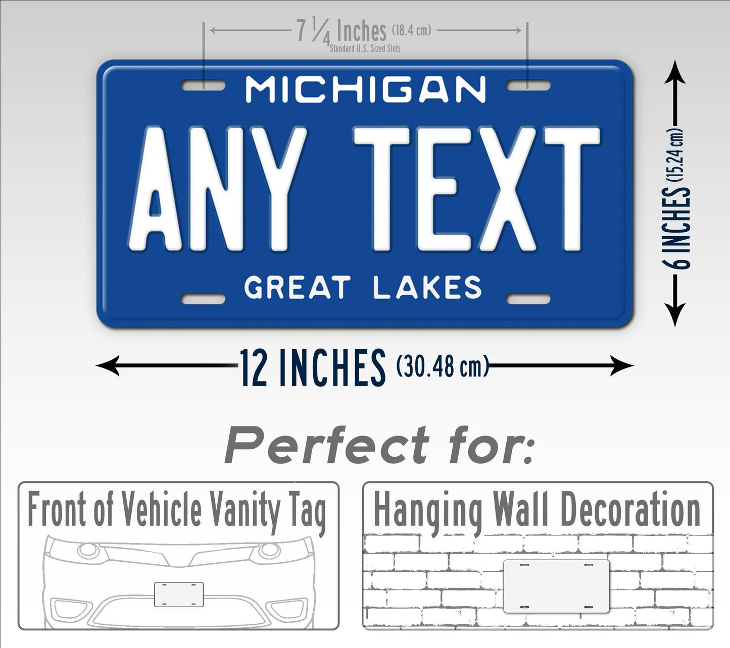 Michigan Retro Blue Great Lakes State License Plate