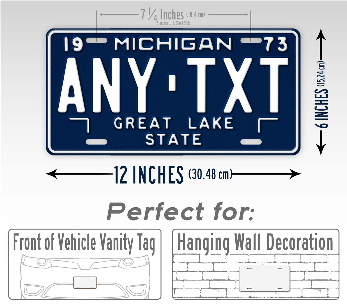 Michigan 1973 Vintage Blue State License Plate