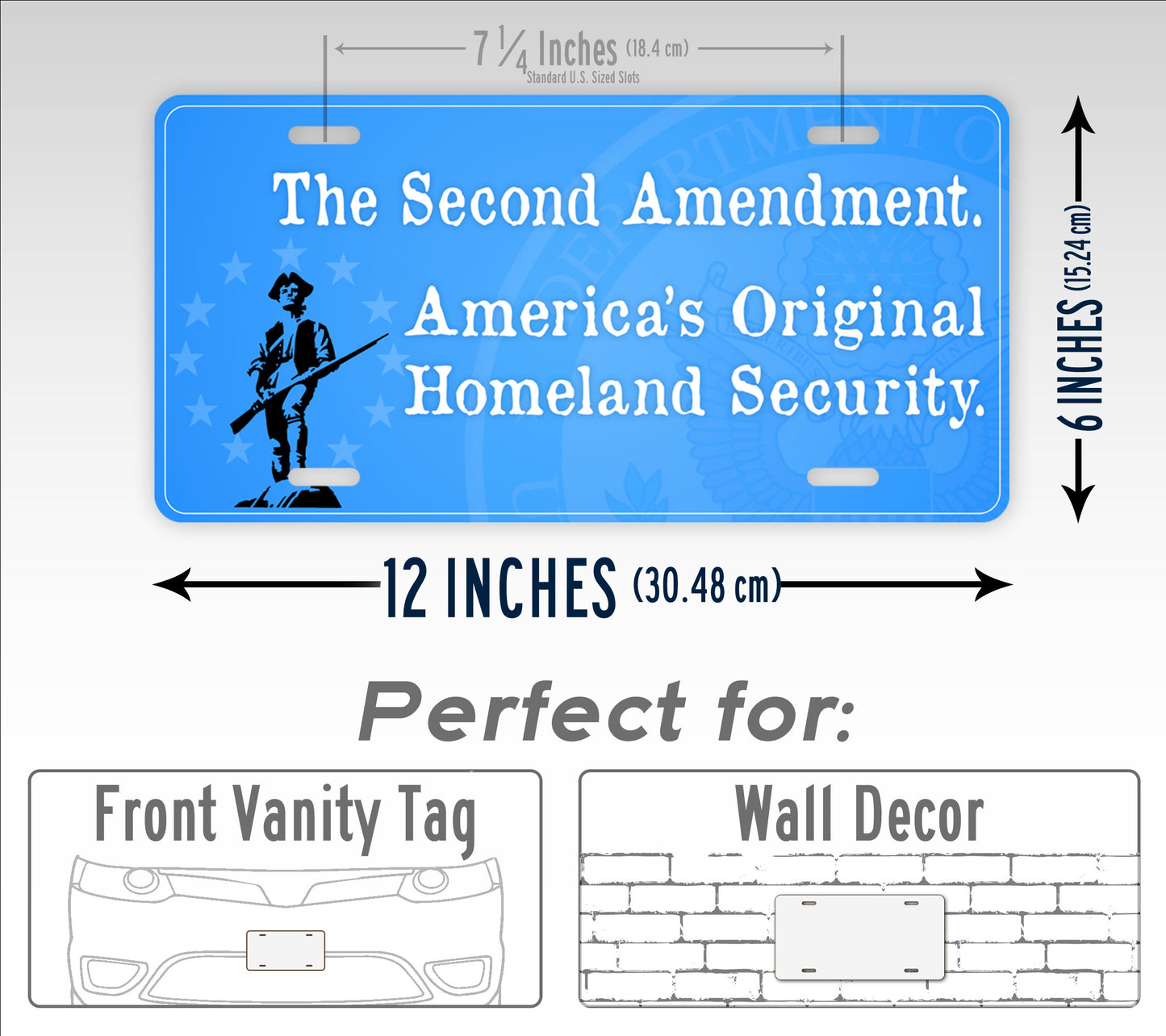 The Second Amendment -America's Original Homeland Security License Plate