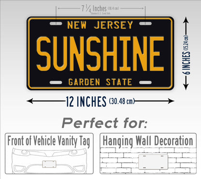 New Jersey SUNSHINE State License Plate