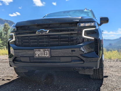 Personalized Delaware Black Reproduction License Plate