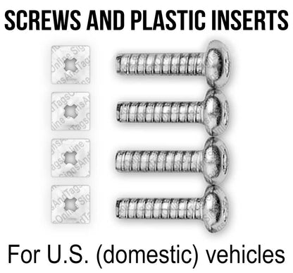 License Plate Mounting Screws