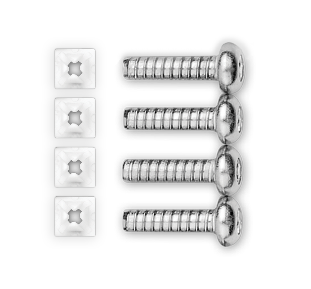 License Plate Mounting Screws