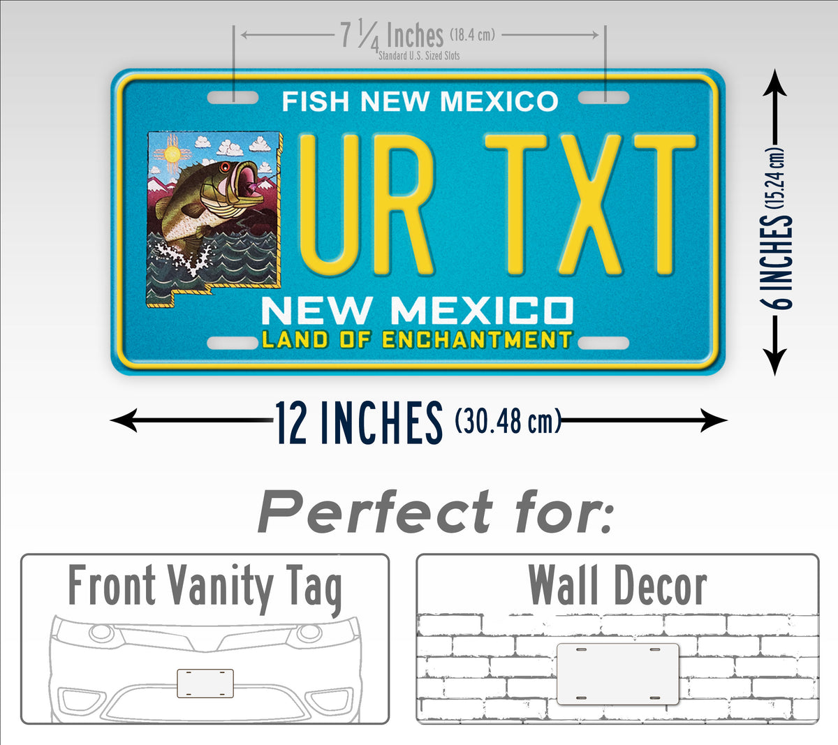 Custom New Mexico Fish New Mexico 2010 License Plate