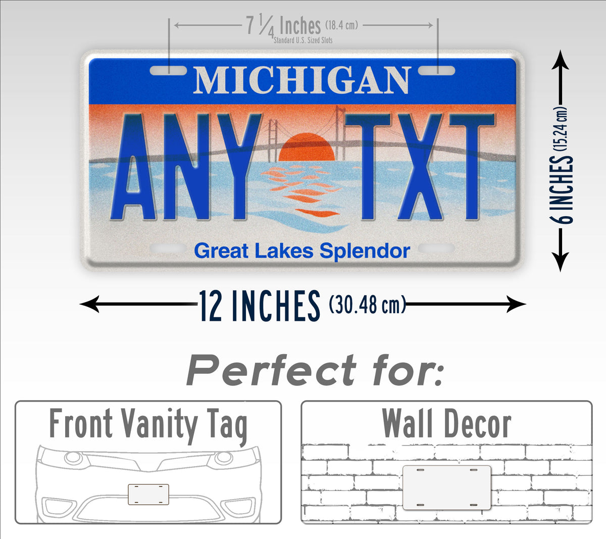 Michigan Great Lake Splendor State License Plate