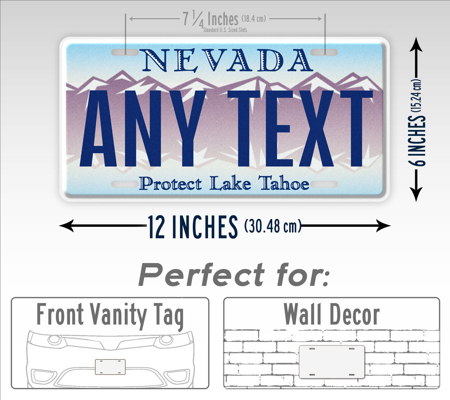 Custom Nevada Protect Lake Tahoe 1998 License Plate