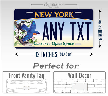 Personalized New York "Conserve Open Space" 1995 Custom License Plate