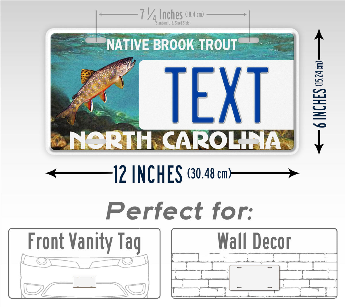 Custom North Carolina Native Brook Trout 2015 License Plate
