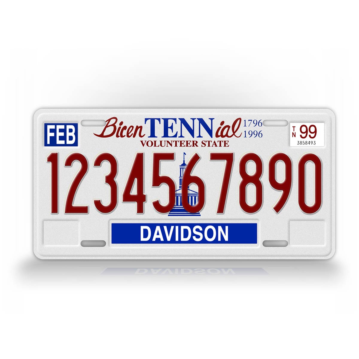 Customized Novelty Bicentennial Tennessee 1994-1999 License Plate