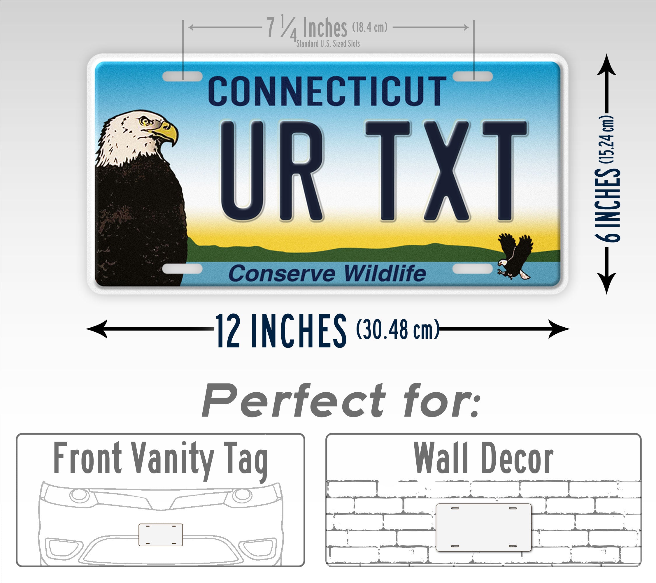 Custom Connecticut Conserve Wildlife Bald Eagle Personalized License Plate