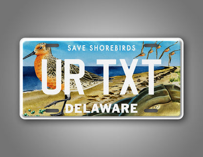 Custom Delaware Save The Shorebirds Wildlife Personalized License Plate