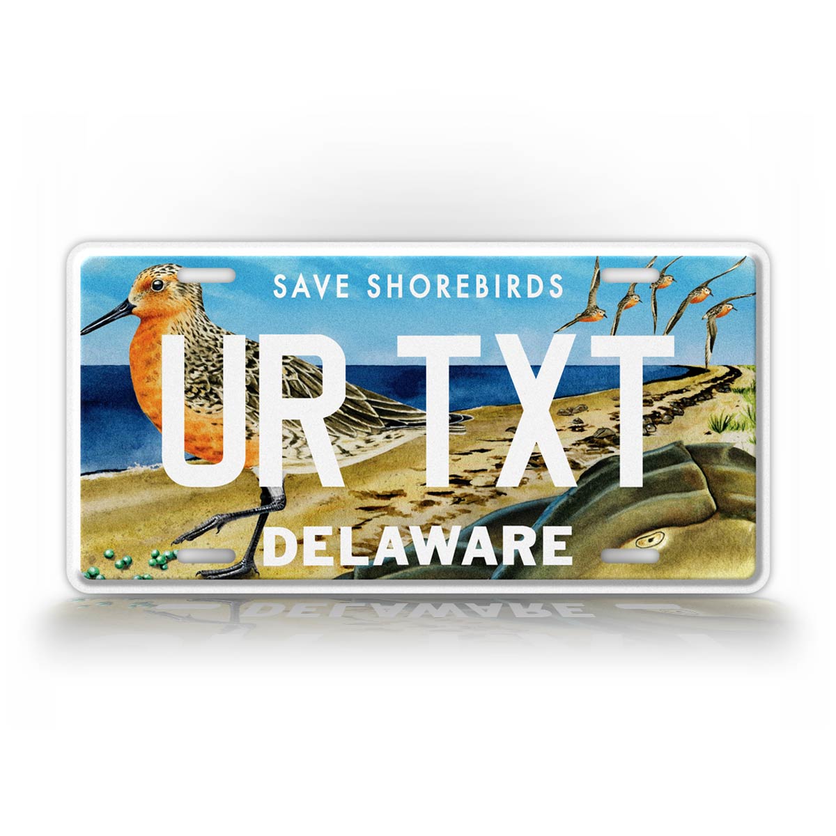 Custom Delaware Save The Shorebirds Wildlife Personalized License Plate