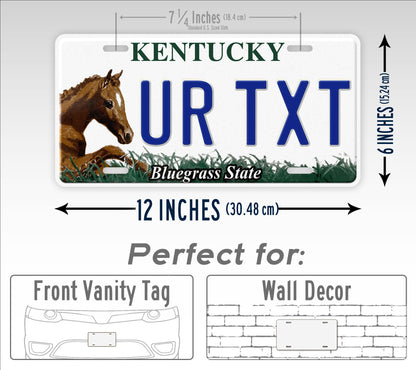 Kentucky Horse "Bluegrass State" License Plate