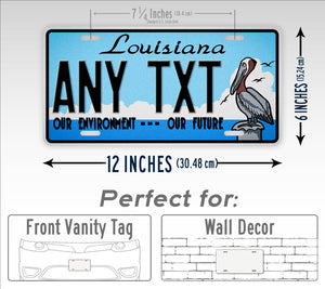 Custom Louisiana State Our Invironment Our Future Personalized License Plate