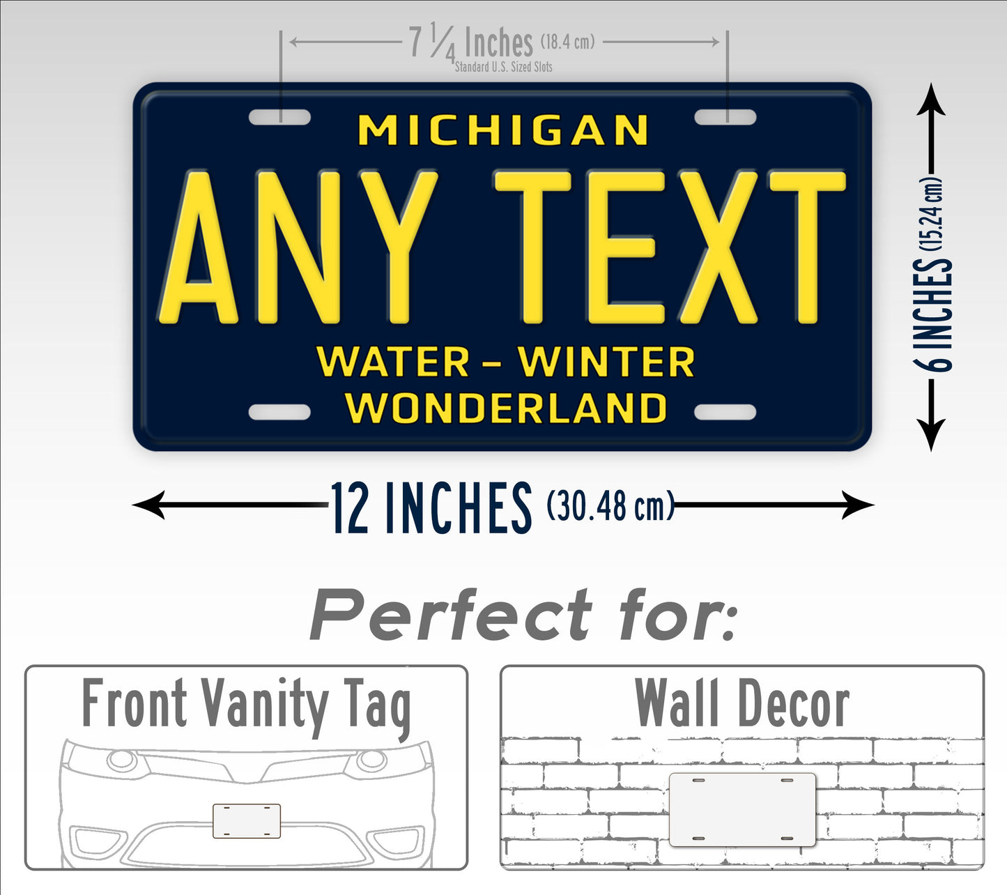 Custom Michigan Water Winter Wonderland Personalized License Plate