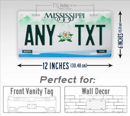 Custom 2002-2007 Mississippi State License Plate