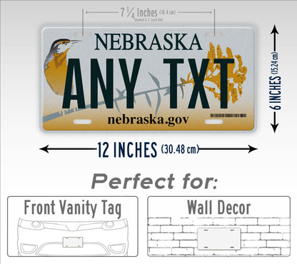 Custom Text 2011-2016 Nebraska State License Plate