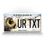 Custom Nebraska Bighorn Sheep Custom personalized License plate