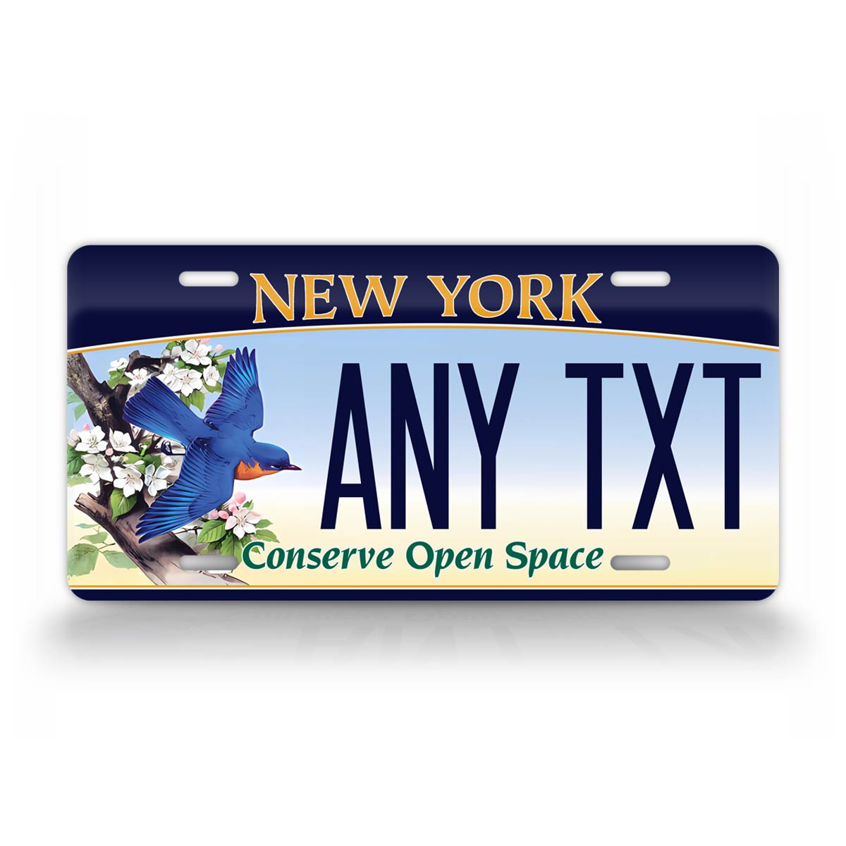 Personalized New York "Conserve Open Space" 1995 Custom License Plate