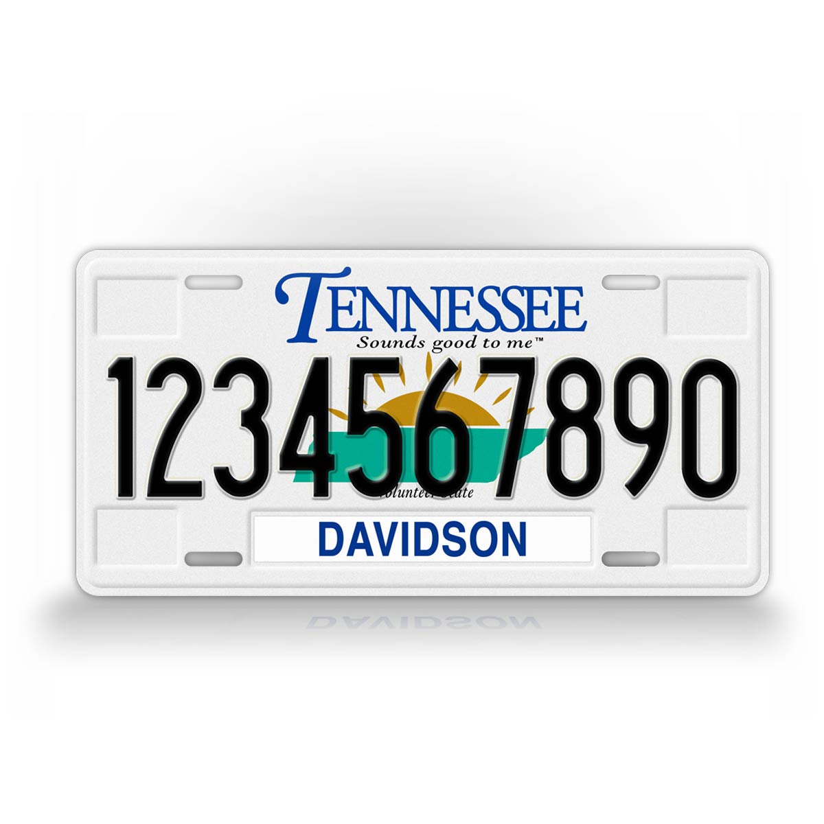 Personalized Novelty Tennessee 2000-2005 License Plate