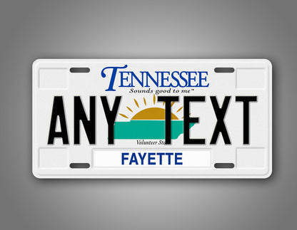 Personalized Novelty Tennessee 2000-2005 License Plate