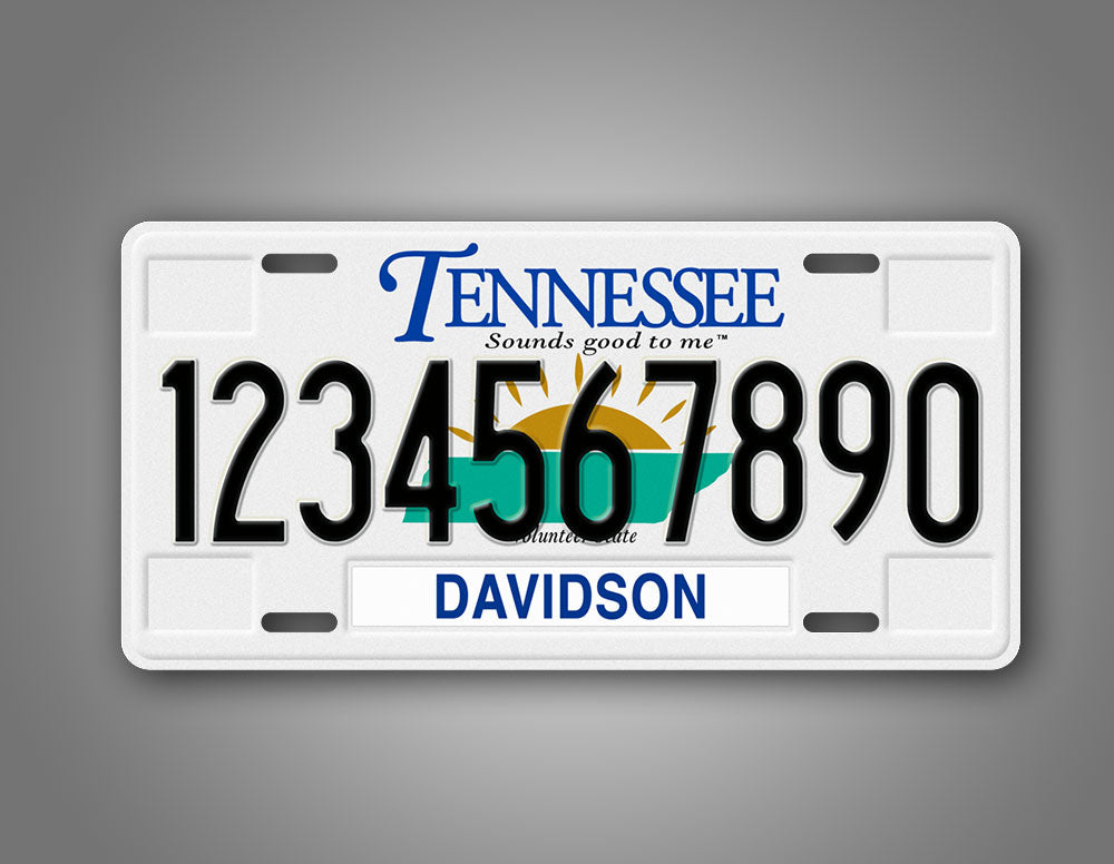 Personalized Novelty Tennessee 2000-2005 License Plate