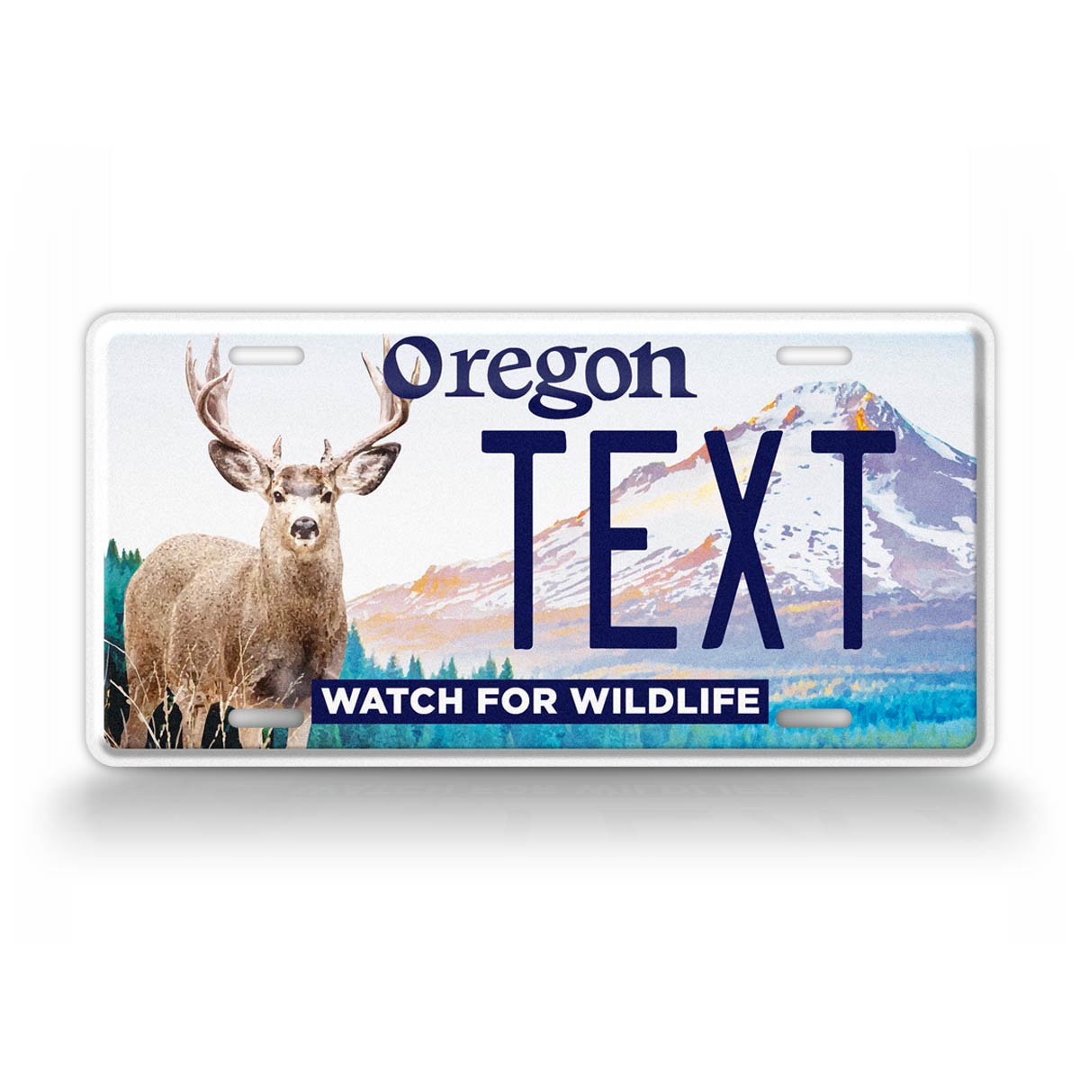 Custom Oregon Watch for Wildlife 2024 License Plate