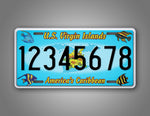 Custom US Virgin Islands 2006 2016 Novelty License Plate