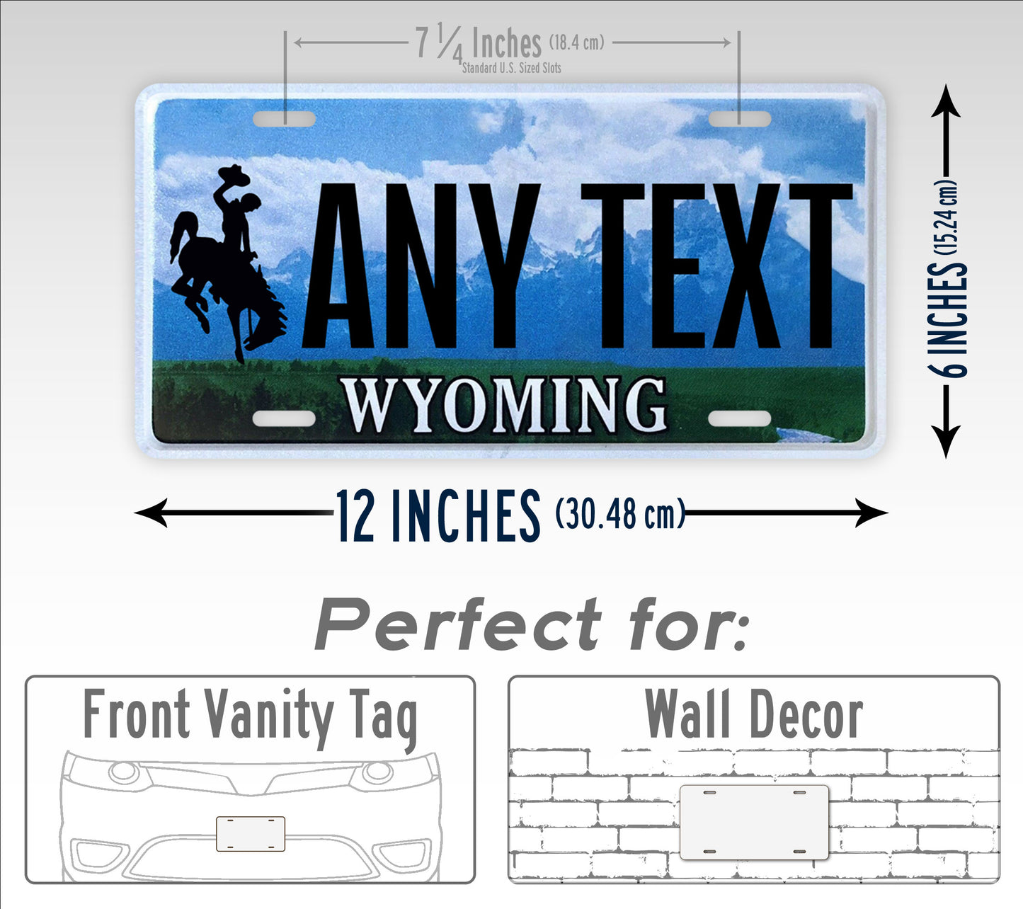 Custom 2008-2015 Wyoming State License Plate