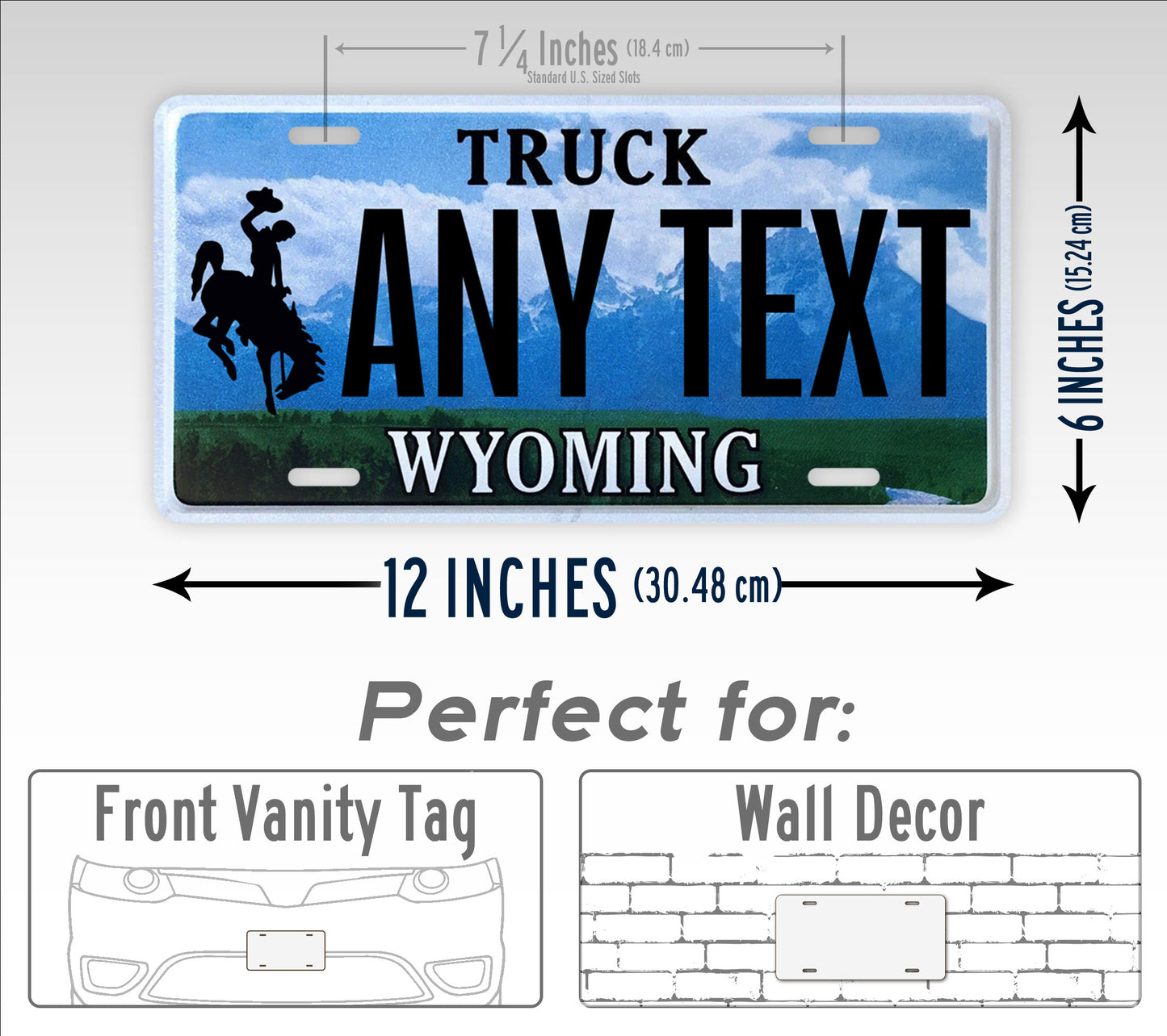 Custom 2008-2015 Wyoming State License Plate